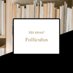 folliculus